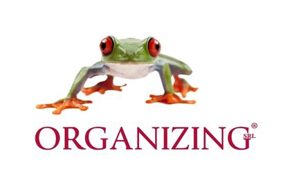 Avatar di Organizing 